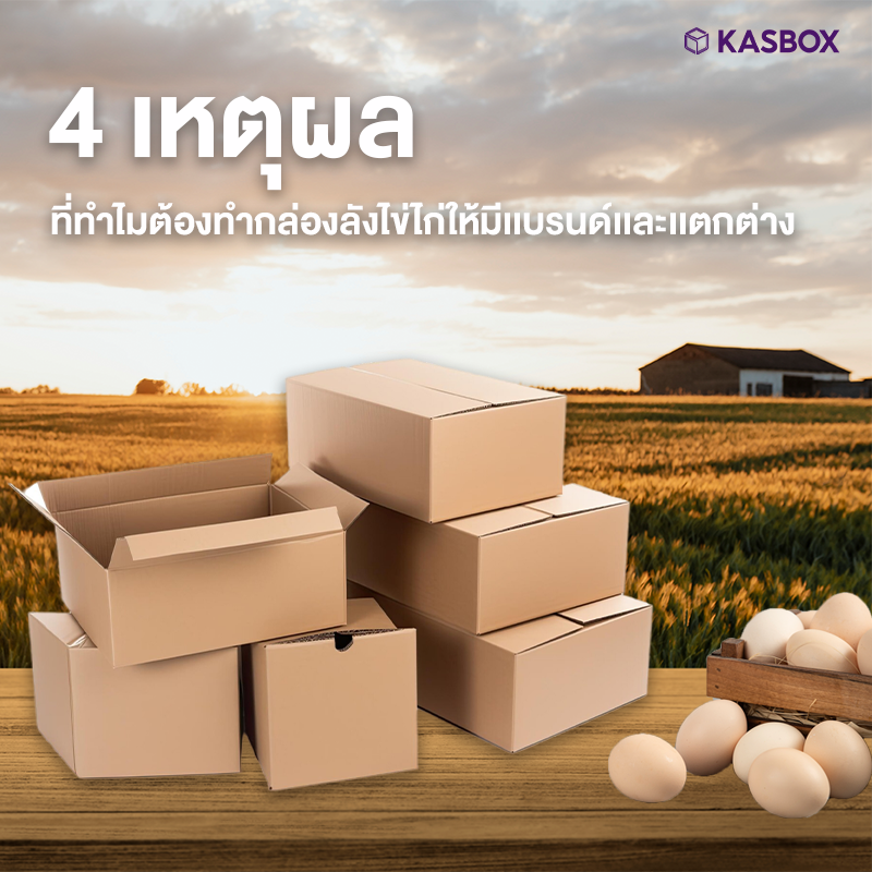 รับผลิตกล่องใส่ไข่ - Kas Carton Co.,Ltd. รับผลิตกล่องใส่ไข่