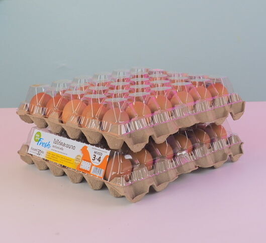 ตัวอย่างกล่องลูกฟูกใส่ไข่ไก่ - Kas Carton Co.,Ltd. ตัวอย่างกล่องลูกฟูกใส่ไข่ไก่