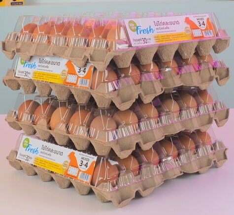 ตัวอย่างกล่องลูกฟูกใส่ไข่ไก่ - Kas Carton Co.,Ltd. ตัวอย่างกล่องลูกฟูกใส่ไข่ไก่