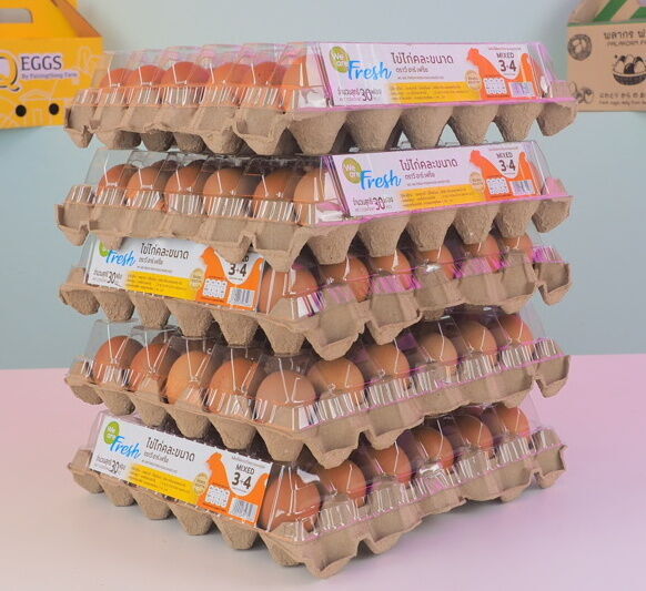 ตัวอย่างกล่องลูกฟูกใส่ไข่ไก่ - Kas Carton Co.,Ltd. ตัวอย่างกล่องลูกฟูกใส่ไข่ไก่