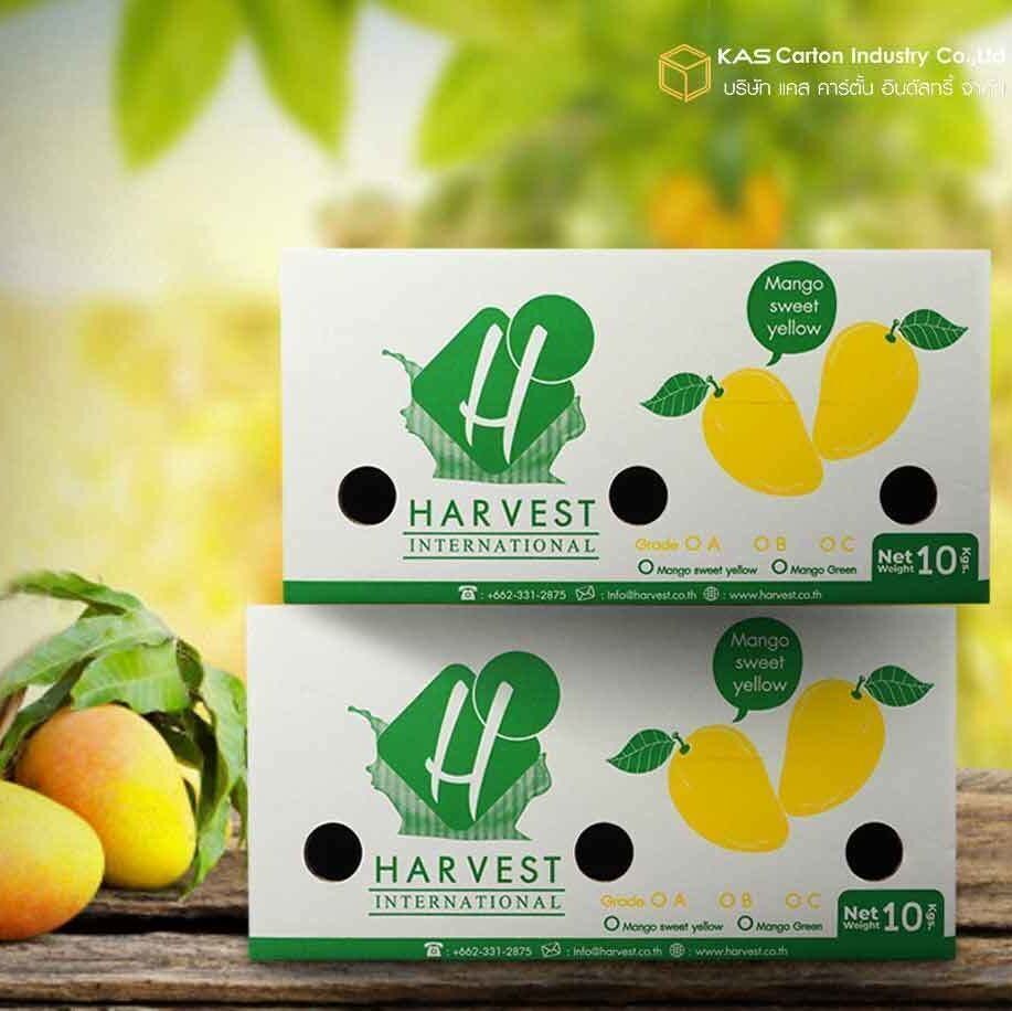 กล่องลูกฟูก ขนส่งสินค้า - Kas Carton Co.,Ltd. กล่องลูกฟูก ขนส่งสินค้า