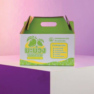กล่องหูหิ้ว กล่องผลไม้ กล่องมะม่วง Mango Box Set Samutprakarn | กล่องลูกฟูกพรีเมียมสำหรับบรรจุภัณฑ์ผลไม้ส่งออกและของฝาก