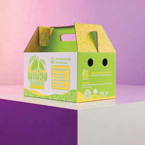 กล่องหูหิ้ว กล่องผลไม้ กล่องมะม่วง Mango Box Set Samutprakarn | กล่องลูกฟูกพรีเมียมสำหรับบรรจุภัณฑ์ผลไม้ส่งออกและของฝาก