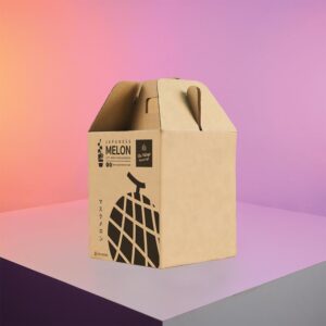 กล่องเมล่อน 1 ลูก The Village Farm to Cafe – กล่องลูกฟูกพรีเมียม แข็งแรง ทนชื้น ดีไซน์มินิมอลอบอุ่น เหมาะกับผลไม้สด ของฝาก และสินค้าพรีเมียมจากฟาร์มคุณภาพ